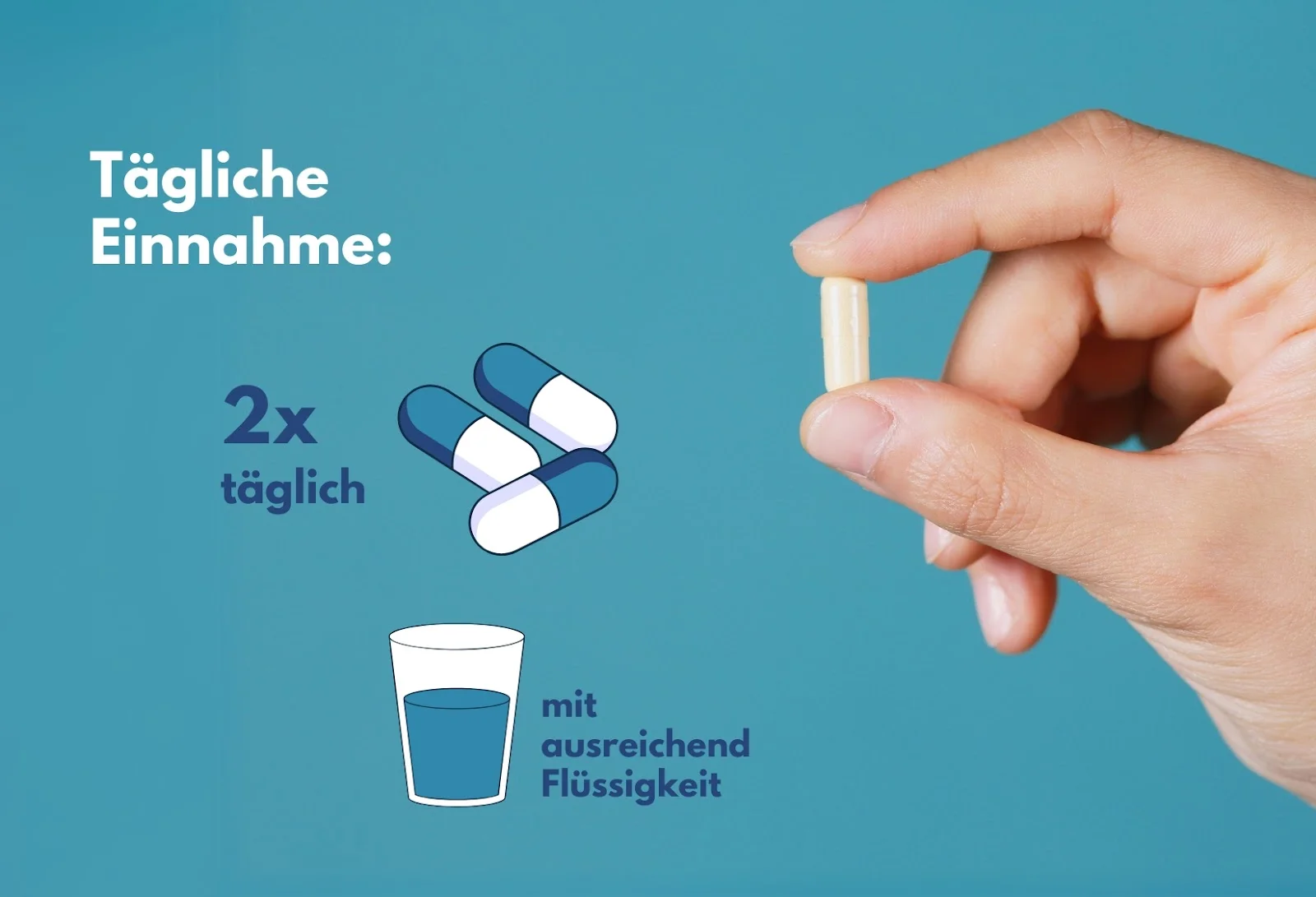 Tägliche Einnahme von 2 Kapseln GELENCIUM