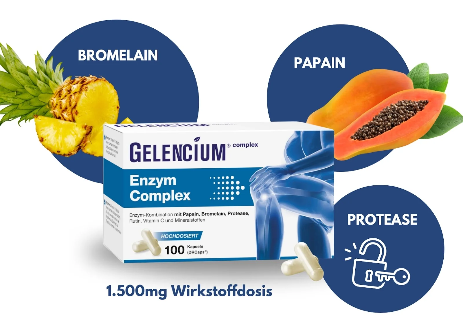GELENCIUM complex – Hochdosierter Enzym-Komplex mit Bromelain, Papain und Protease